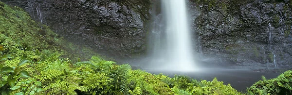 Hawaii, Kauai, Na Pali Coast Inland Waterfall, Whitewater Action Into Pool, Greenery Panoramic C1651