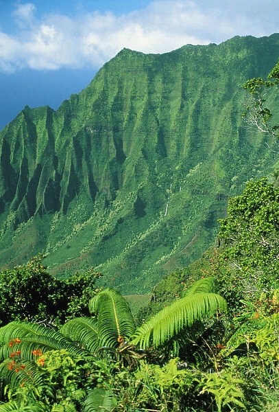 Hawaii, Kauai, Na Pali Coast, Overlooking Kalalau Valley