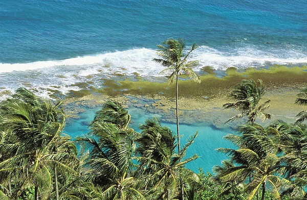 Hawaii, Kauai, Napali Coast, Palm Trees, Ocean With Breaking Waves, Coral Reef, Turquoise Water