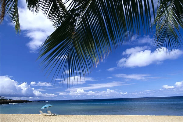 Hawaii, Lanai, Hulopoe Beach, Palm Fronds In Foreground, Beach Chairs And Umbrella C1589