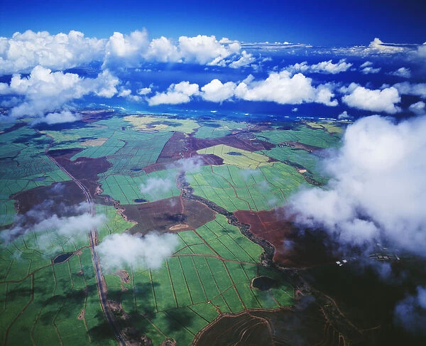 Hawaii, Maui, Aerial View Of Sugarcane Fields In Central Maui