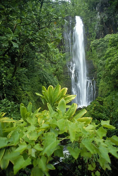 Hawaii, Maui, Hana, Wailea Falls, Cascading Surrounded By Lush Greenery