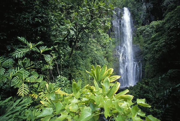 Hawaii, Maui, Hana, Wailea Falls, Distance Surrounded By Lush Greenery