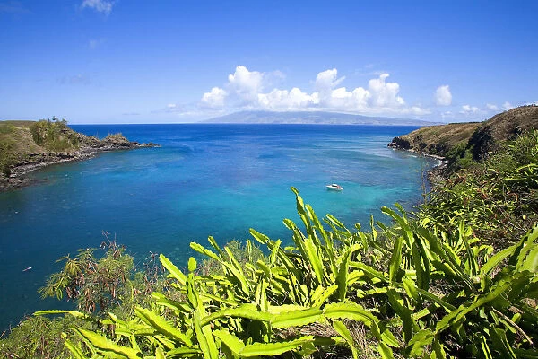 Hawaii, Maui, Honolua Bay, Green Brush Overlooking Bright Blue Water, Molokai In The Distance