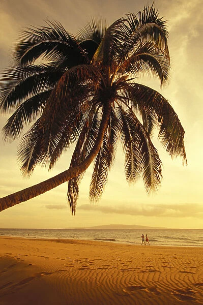 Hawaii, Maui, Kamaole Beach, At Sunset, Two Women Walk Along Shoreline Distance, Palm Tree Foreground