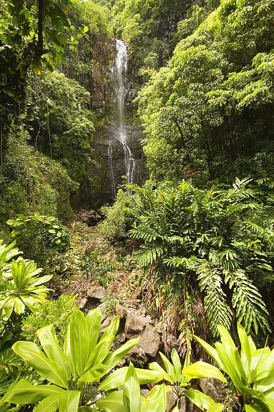 Hawaii, Maui, Kipahulu, Hana Coast, Wailua Falls Surrounded By Foliage
