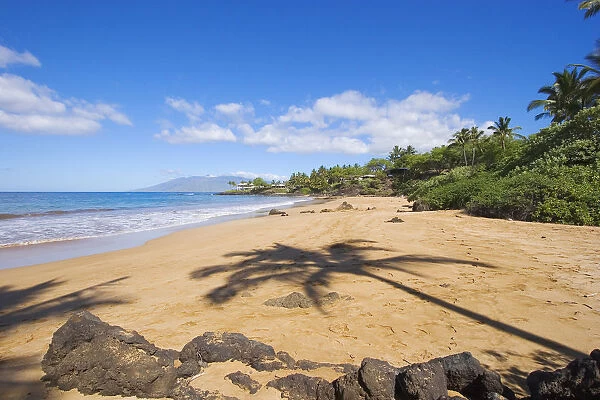 Hawaii, Maui, Makena, Changs Beach, Shadow Of Palm Tree On Sand