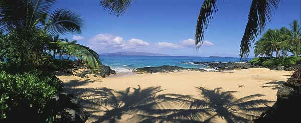 Hawaii, Maui, Makena; Small Secluded Beach Palm Shadows On Sand, Rocky Shore