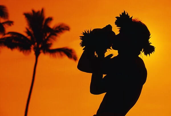 Hawaii, Maui, Napili, Silhouette Of Man Blowing Conch Shell At Sunset, Fiery Orange Sky, Palm Tree