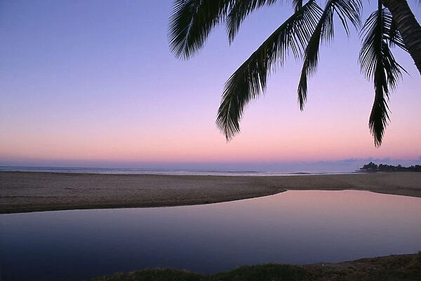 Hawaii, Mirror Like Tide Pool Near Ocean, Palm Tree Fronds Lavender Hued Dusk A32G