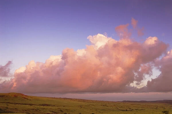 Hawaii, Molokai, Maunaloa, Molokai Ranch, Pink Clouds Over Pasture At Sunrise