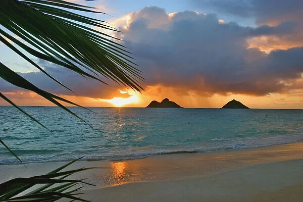 Hawaii, Oahu, Dramatic Sunrise At Lanikai Beach, Mokulua Islands, Palm Frond