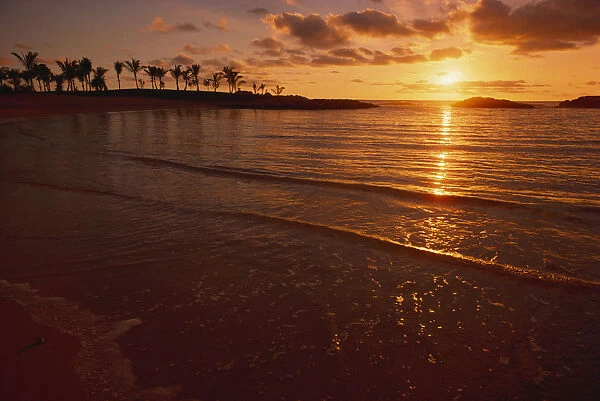 Hawaii, Oahu, Ko olina Resort, Sunset Over Ocean, Palm Trees