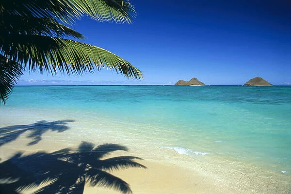 Hawaii, Oahu, Lanikai Beach With Calm Turquoise Water, Mokulua Islands Background Palm Fronds And Shadow Foreground
