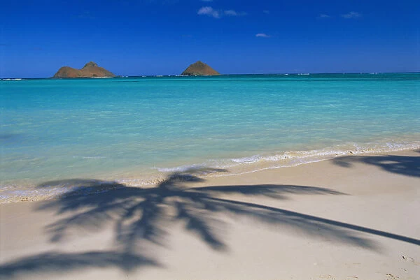 Hawaii, Oahu, Lanikai Beach, Palm Shadows On White Sand, Turquoise Ocean