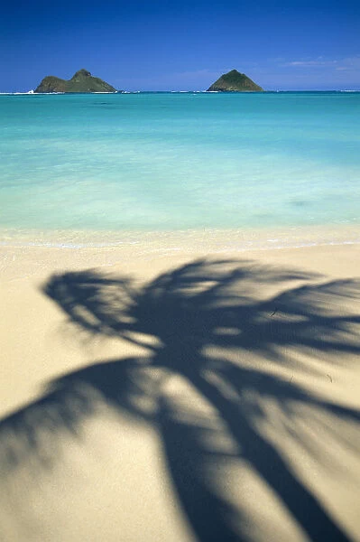 Hawaii, Oahu, Lanikai Beach, Turquoise Ocean, Mokulua Islands, Shadow Of Palm B1489