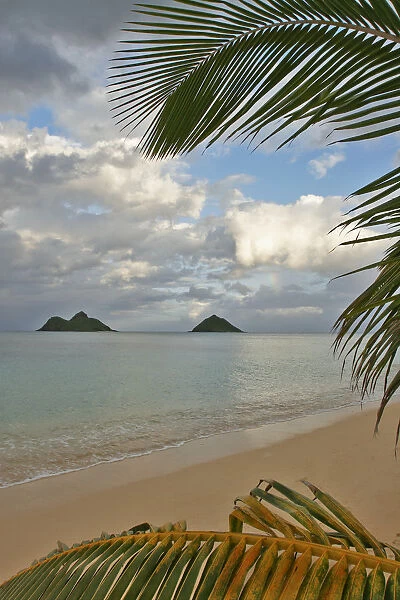 Hawaii, Oahu, Lanikai, Late Afternoon View Of The Mokulua Islands Framed With Palm Fronds