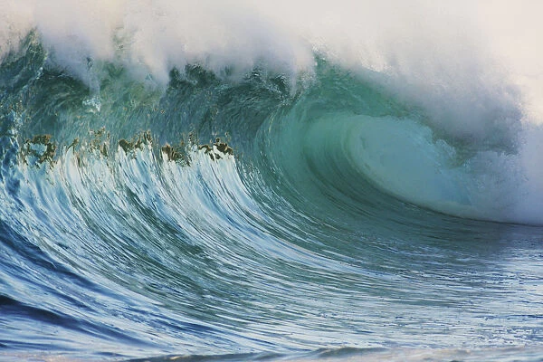 Hawaii, Oahu, North Shore, Beautiful Wave Breaking