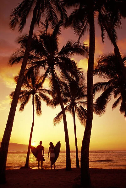 Hawaii, Oahu, North Shore, Couple Walk Along Shoreline Surfboard, Palms At Sunset Golden Silhouette