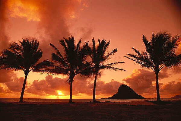 Hawaii, Oahu, Orange Yellow Sunrise At Chinamans Hat, Palms Silhouetted A42G