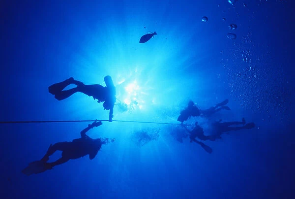 Hawaii, Oahu, Silhouette Of Scuba Divers Near The Surface Above Mahi Wreck, Ascending The Anchor Line