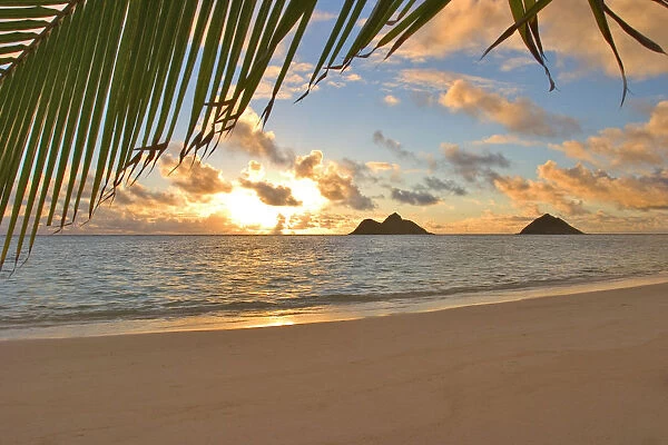 Hawaii, Oahu, Sunrise Over Mokulua Islands, Golden Light, Dramatic Sky And Ocean