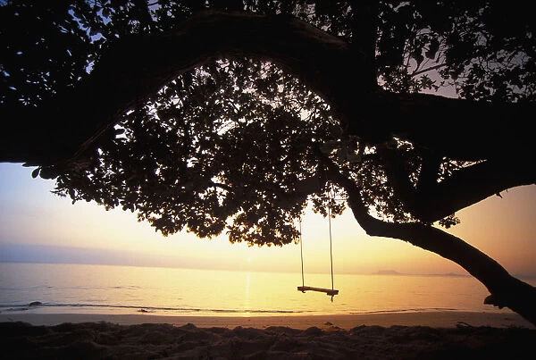 Hawaii, Oahu, Tree Swing Silhouetted Against Beach And Calm Ocean At Sunrise