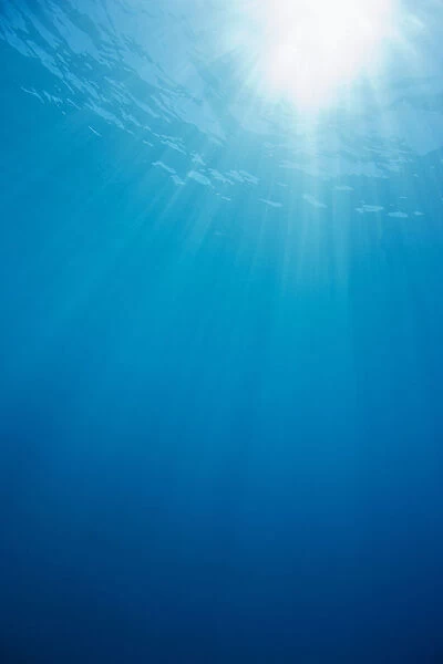 Hawaii, Sunburst In Clear Blue Water