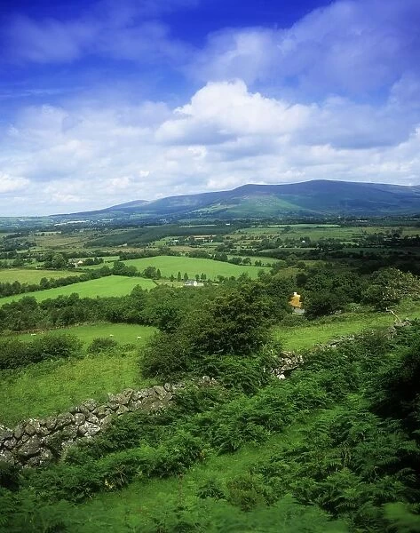 High Angle View Of Fields On A Landscape, Derrynamuck, County Wicklow, Republic Of Ireland