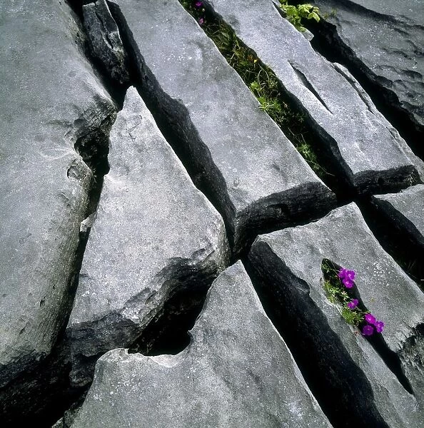High Angle View Of Rocks, The Burren, County Clare, Republic Of Ireland