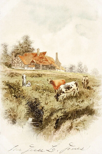 Historic Greeting Card With Illustration Of Cows And People On Farm From 19th Century