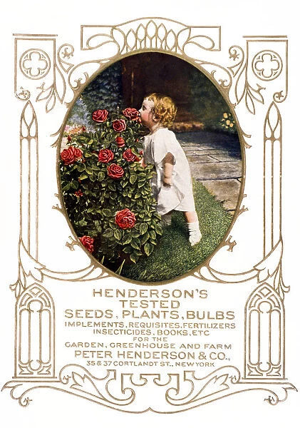 Historic Hendersons Seed Catalog With Illustration Of Child Smelling Roses From 20th Century