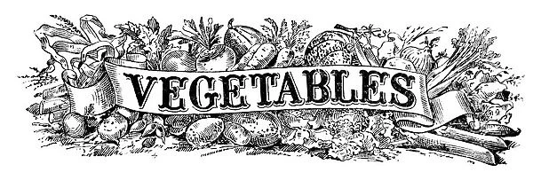 Historic Illustration Of Vegetables With Graphic Banner From The 20th Century