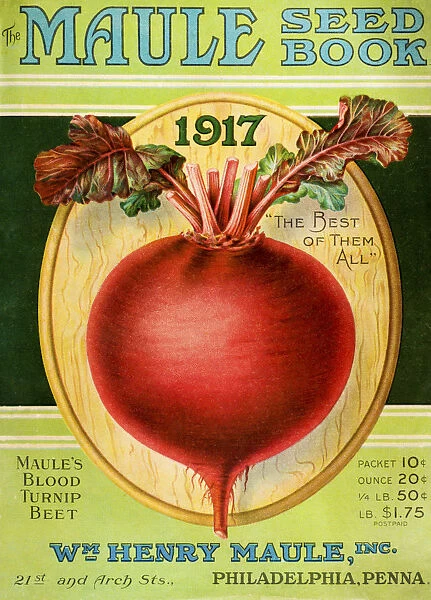 Historic Maules Seed Book With Illustration Of Blood Turnip Beet From 20th Century