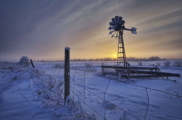 Hoar Frost On A Foggy Winter Sunset, Alberta