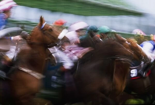 Horse Racing; Horses Breaking From The Stalls