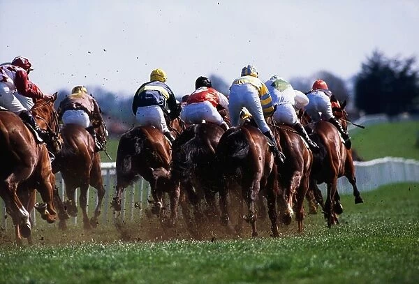 Horse Racing; Rear View Of Horses Racing