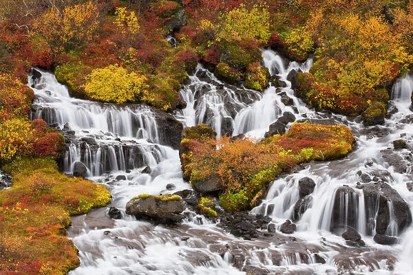 Hraunfossar Waterfalls And Autumn Colours; Iceland