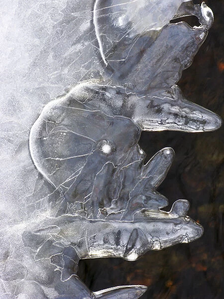 Ice Abstract 1, Massachusetts, Seekonk, Caratunk Wildlife Refuge, Close-Up Of Pattern In Ice