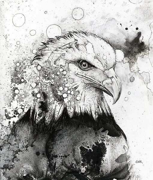 Illustrated Portrait of Bald Eagle