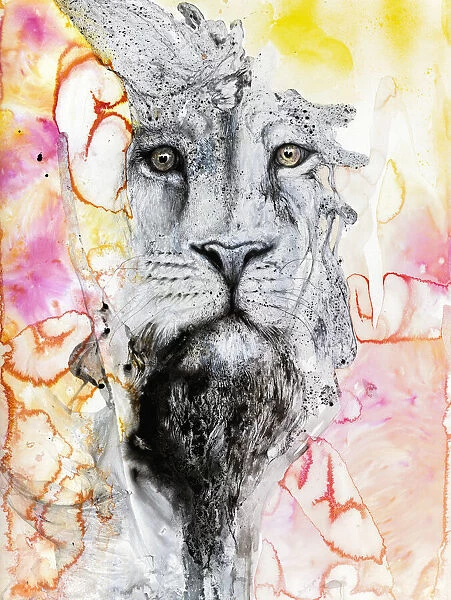 Illustration Of A Lion's Face Surrounded By Colourful Abstract Patterns