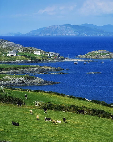 Ilnacullin, Beara Peninsula, County Cork, Ireland