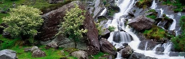 Inchquinn Waterfall, Beara Peninsula, Co Kerry, Ireland