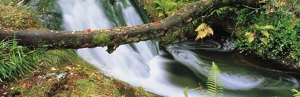 Ireland; Waterfall