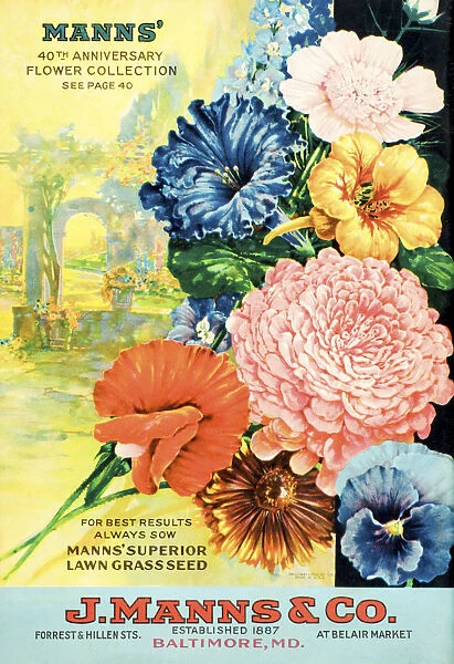 J. Manns Seed Catalog With Illustration Of Flowers From 20th Century