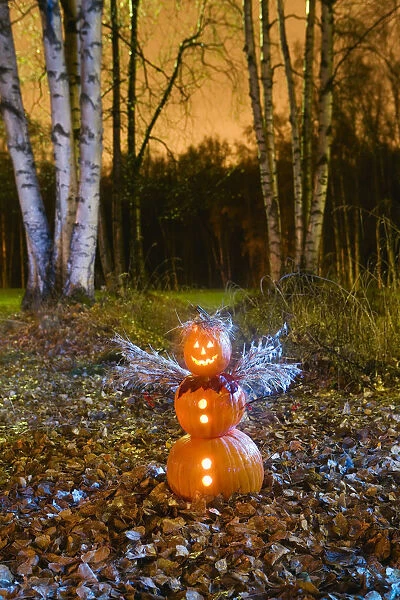 One Jack-O-Lantern Person Dressed As An Angel, Standing In A Forest & Fallen Leaves On The Ground At Twilight During Fall In Anchorage, Alaska