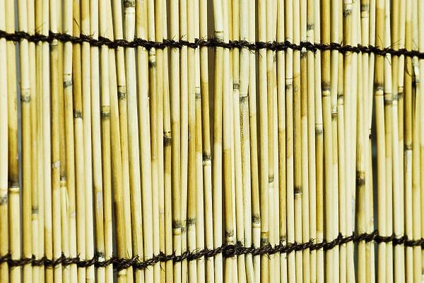 Japan, Tokyo, Meiji Jingu Shrine, Texture Of Bamboo
