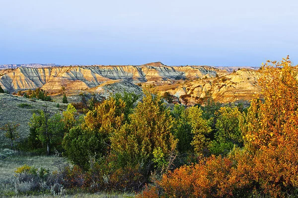 Juniper And Canyons, Little Missouri Grasslands; North Dakota, United States Of America