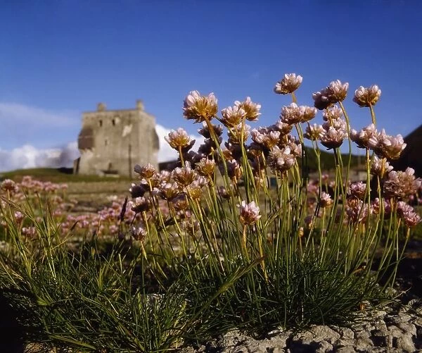 Kildownet Castle, Achill Island, Co Mayo, Ireland; Grace O malleys Castle