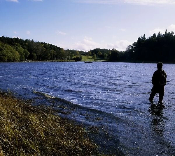 Killykeen Forest Park, Co Cavan, Ireland; Man Fishing In Lough Oughter